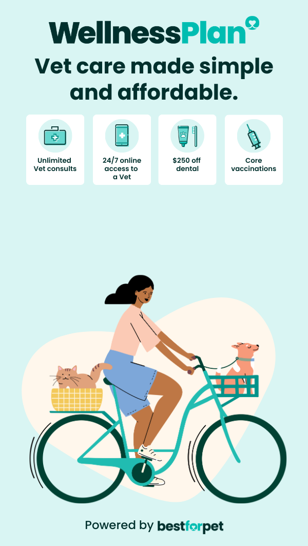 Wellness Plan - Vet care made simple and affordable
